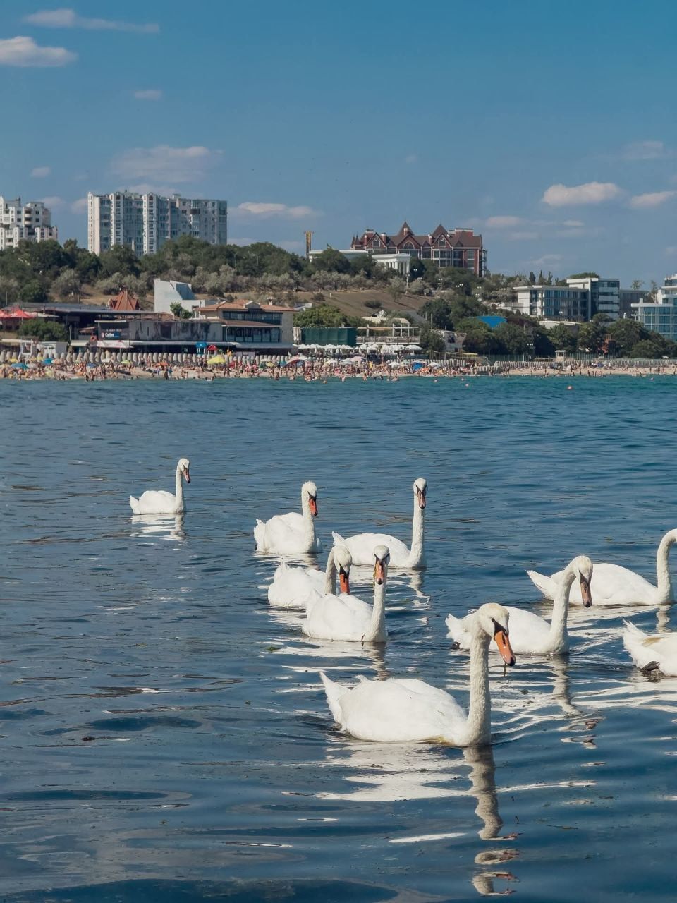 Аппартаменты у Моря