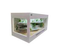 Terrarium pustynne nr671 100/50/50 dla agamy karłowatej NA ZAMÓWIENIE