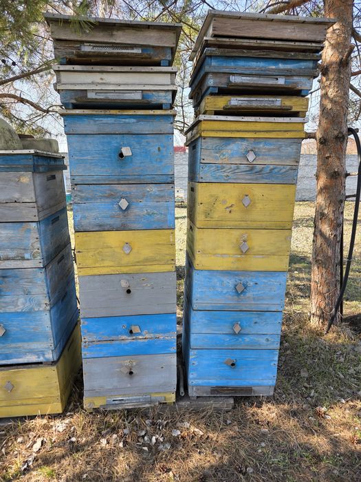 Продаж дерев'яних вуликів