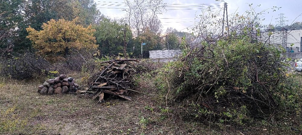 Drewno ,chrust gałęzie