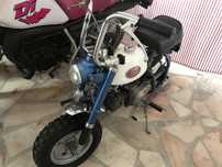 Honda Z50A Original