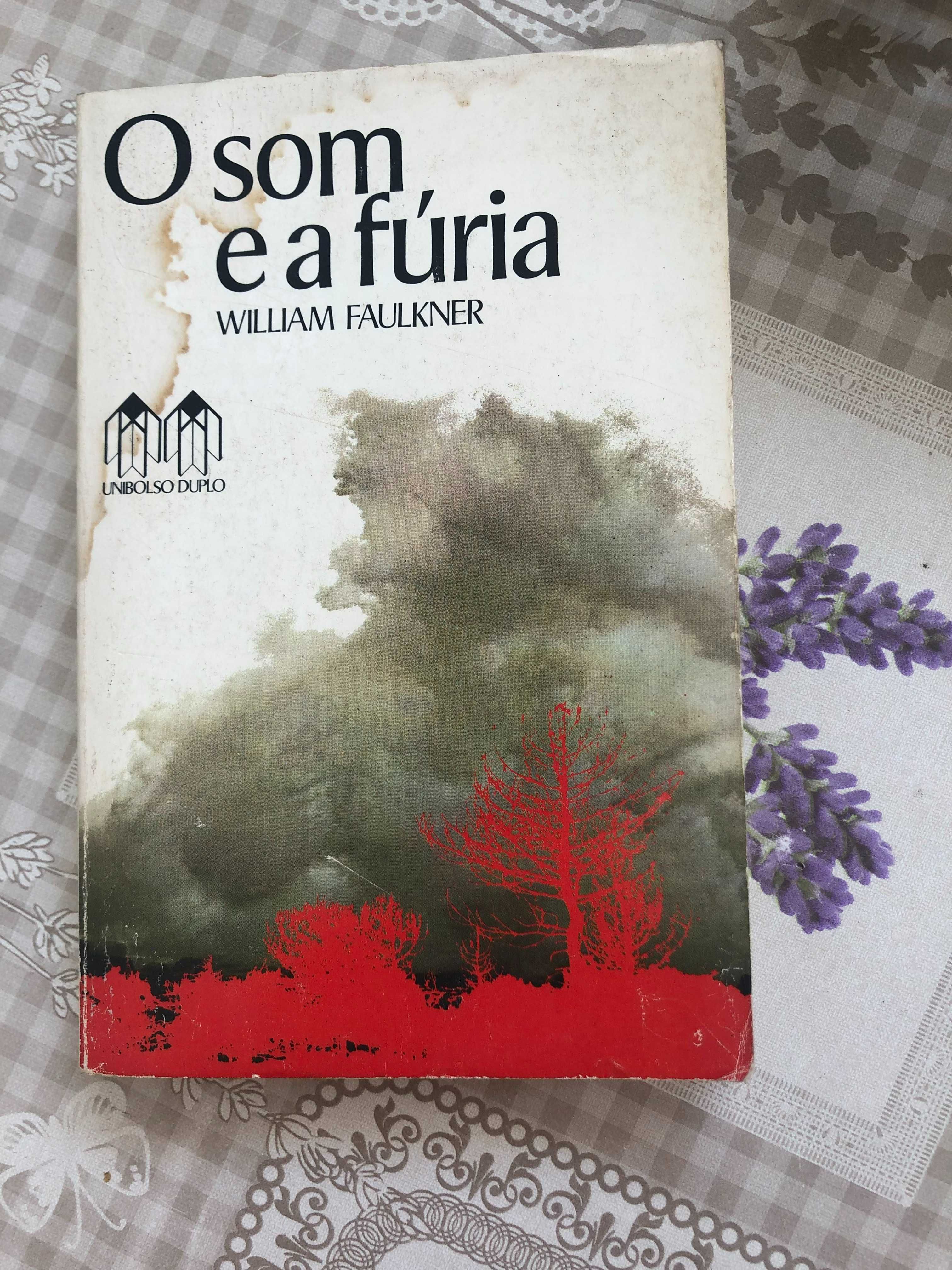 Livro - "O Som e a Fúria"