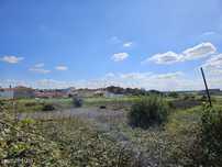 Terreno Agrícola nos Riachos