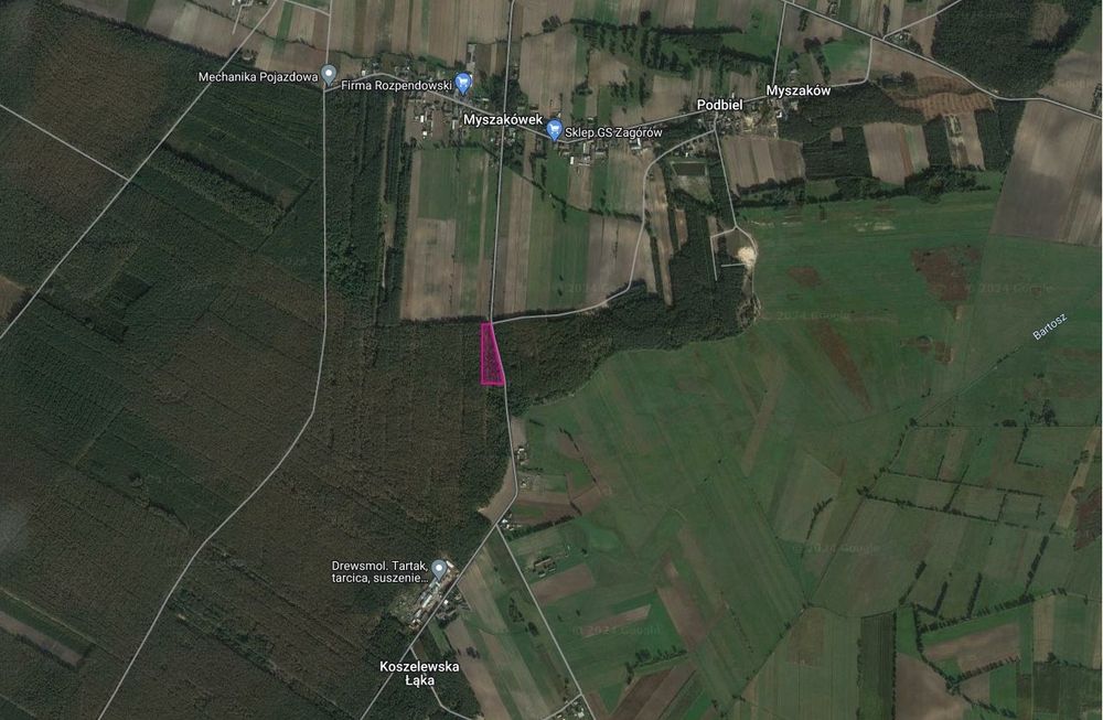 Działka leśna przy asfalcie, 3 ha, LAS
