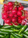 Papryczki Jalapeno i Cherry