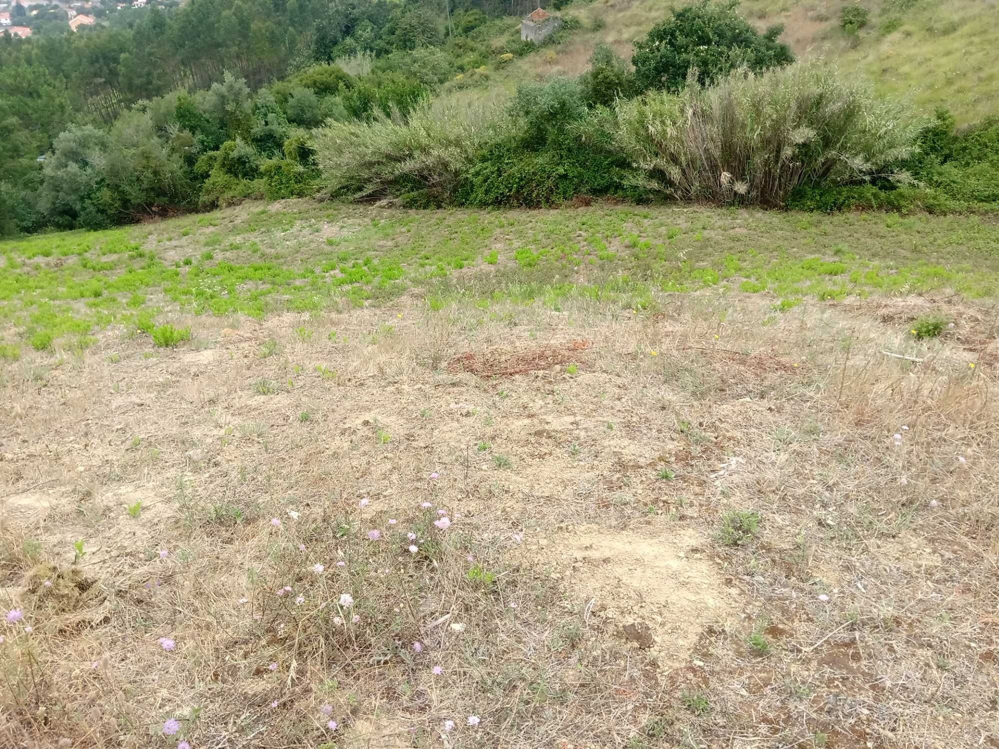Vendo terreno rustico