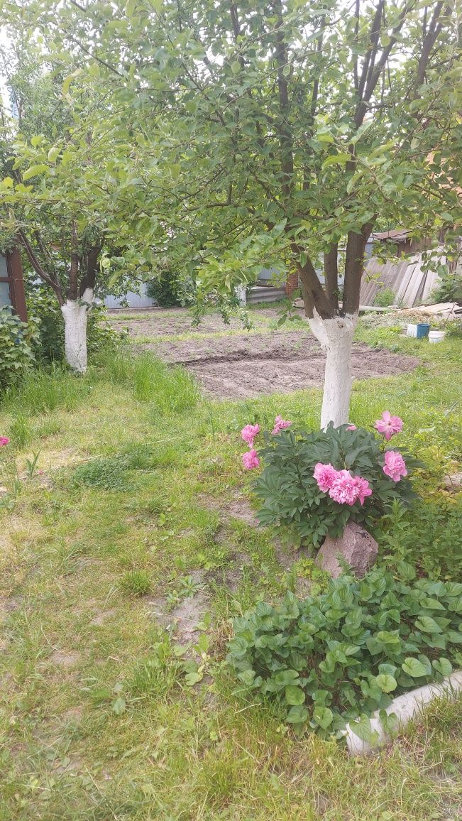 Продаж будинку по вул А.Івахненка  м. Дорогожичі