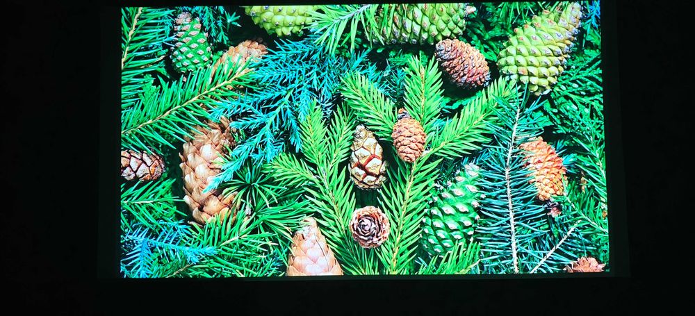 Проектор Dangbei Mars Pro Black 4K лазерний DLP 3D Android з Bluetooth