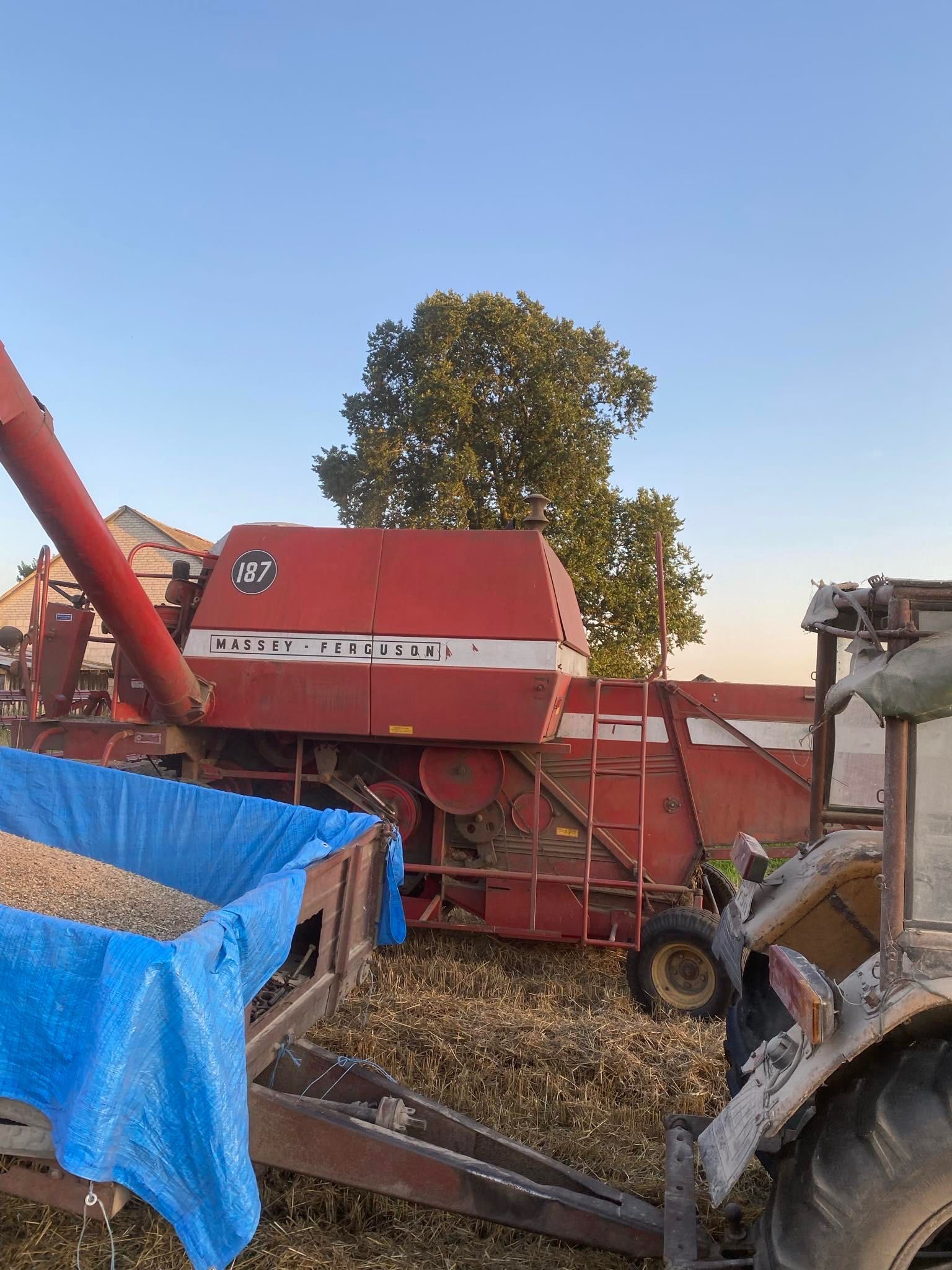 Kombajn zbożowy  Massey Ferguson 187