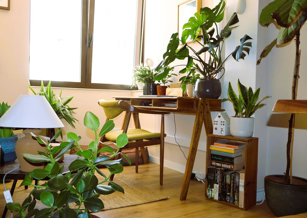 Apartamento T3 Bonfim Setubal