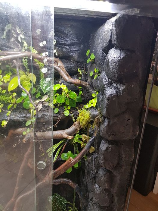 Terrarium 60x40x100cm