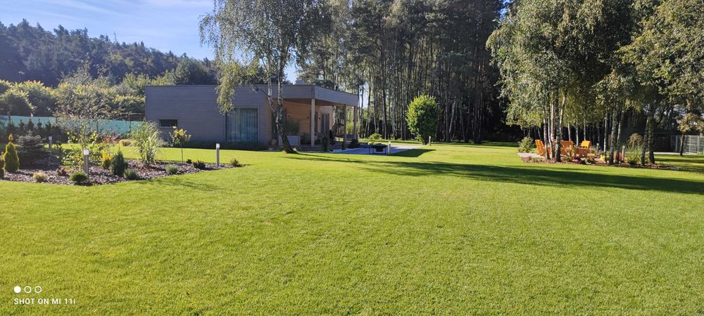 Zakładanie trawników, automatyczne systemy nawadniania, oświetlenie