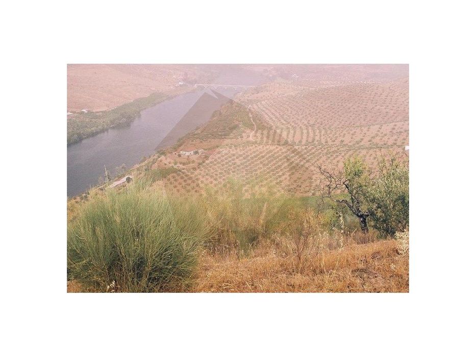 Quinta Com Vinha - Figueira De Castelo Rodrigo