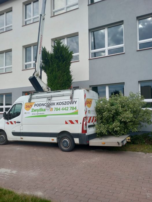 Podnośnik Koszowy Zwyżka wycinka drzew mycie elewacji Wynajem Montaż