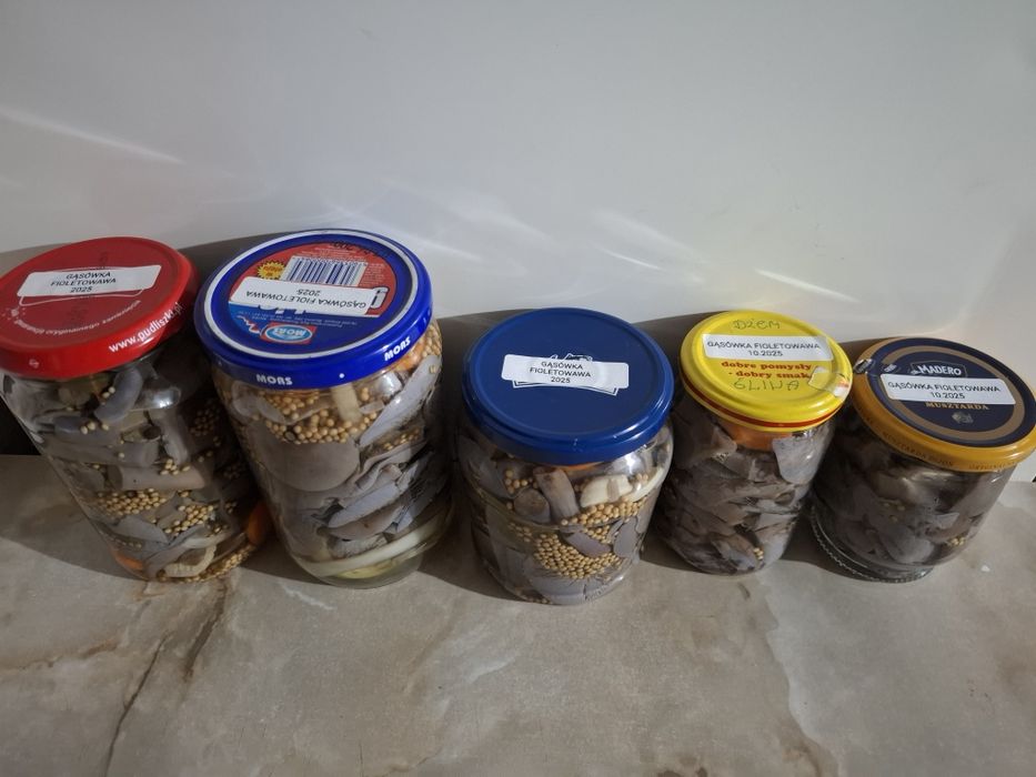 Rydze, opieńki, kanie, gąsówki fioletowawe marynowane w zalewie octowe