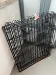 Parque para Animais Porte Pequeno