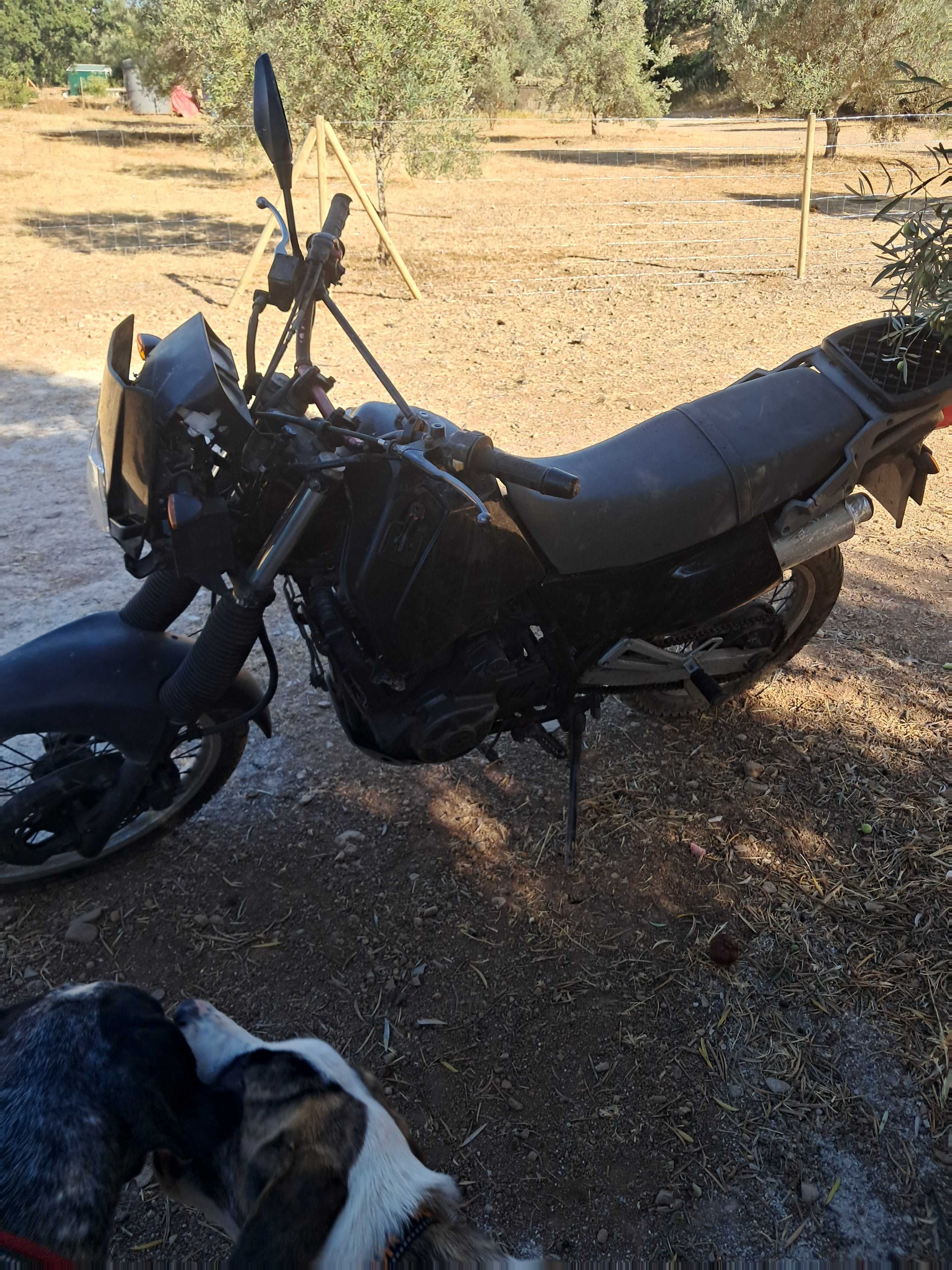 Mota suzuki DL-650