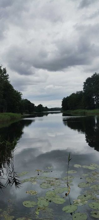 Działka z linią brzegową jeziora
