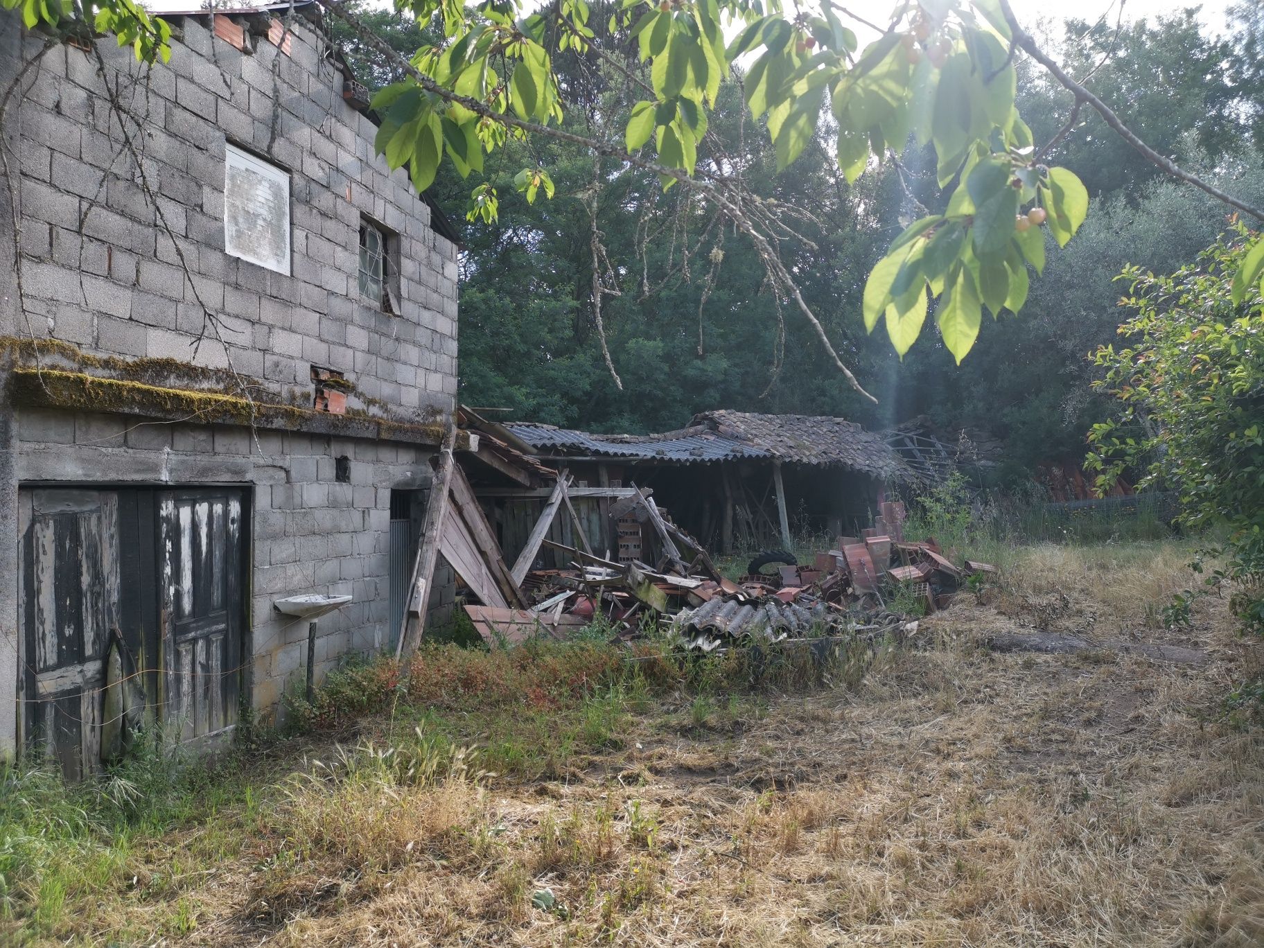 Vende-se Quinta da Redonda com 1 hectar