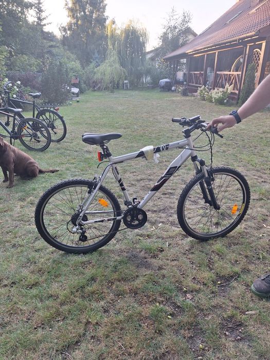 Rower męskie Kross Hexagon V6