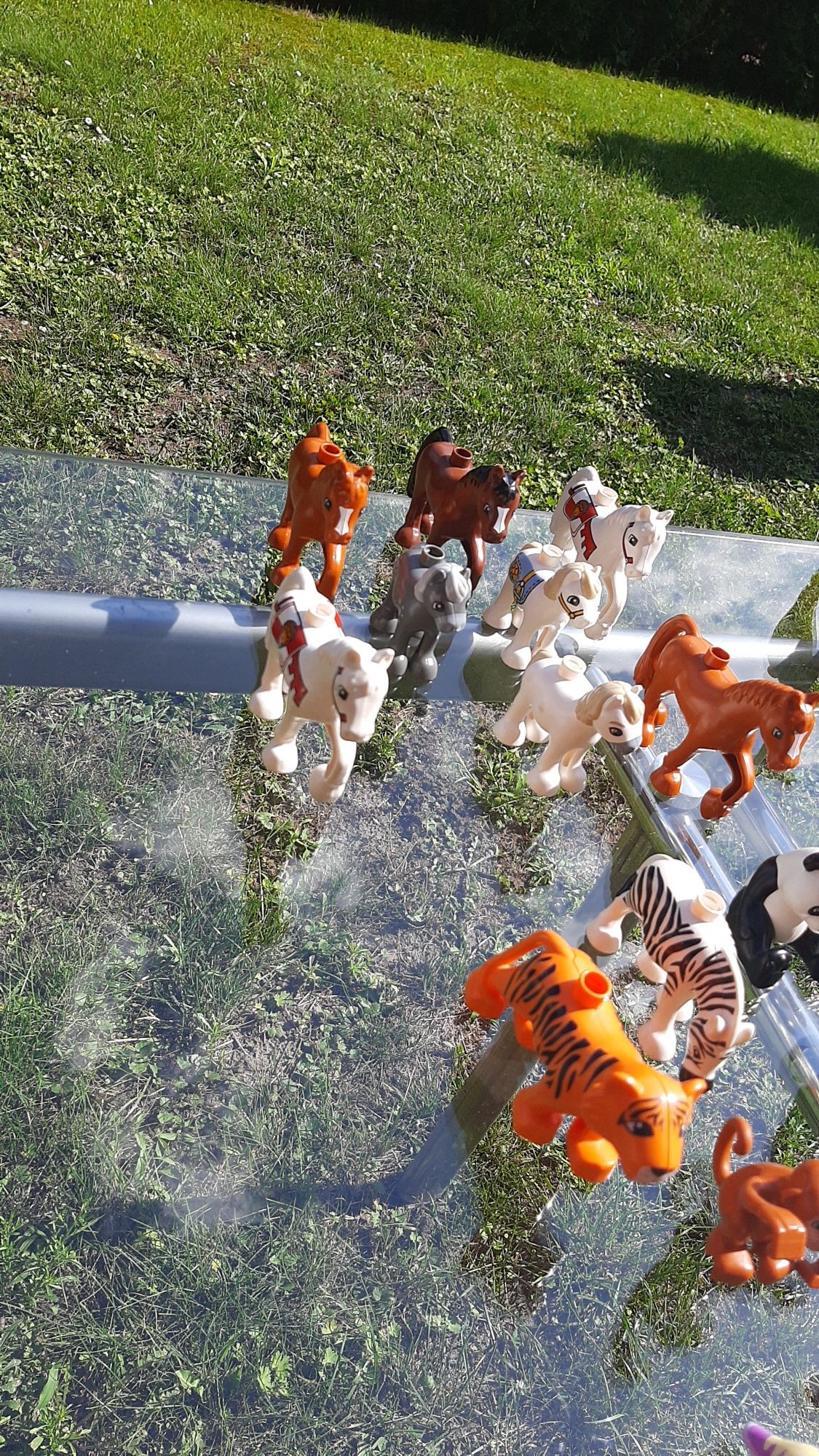 Ponad 200 zwierząt lego duplo