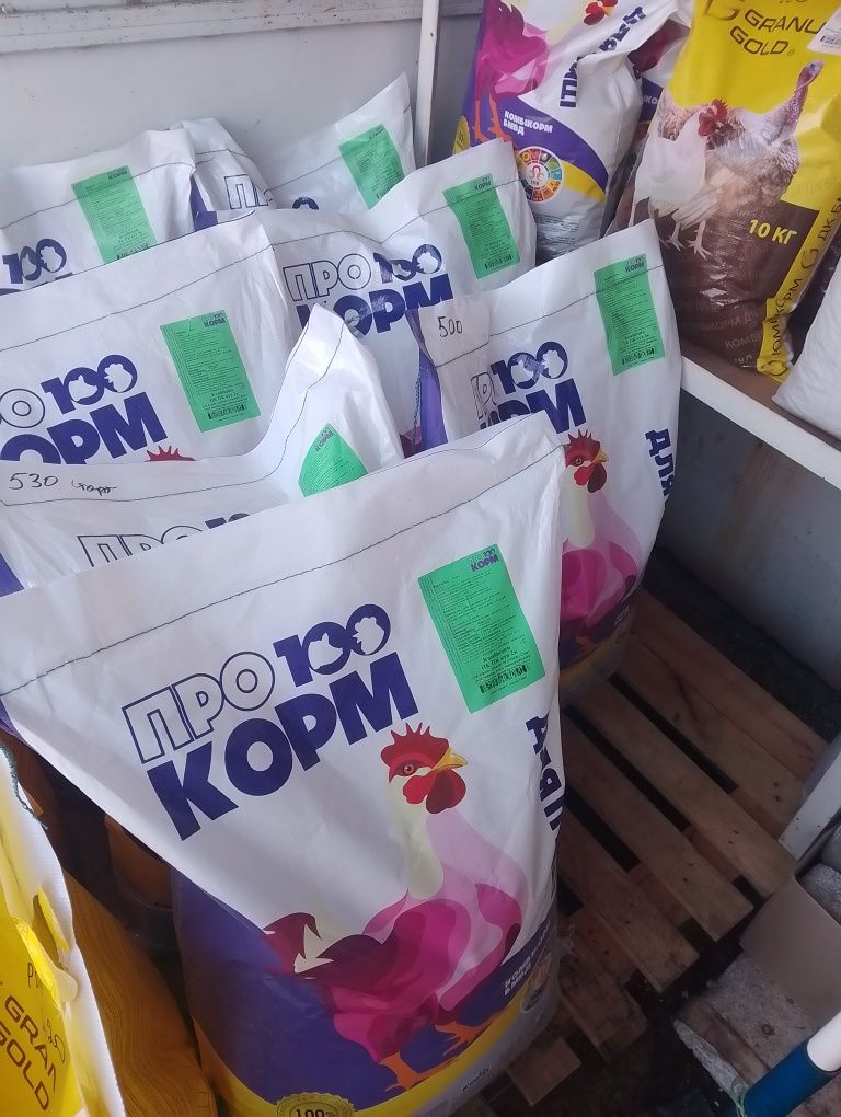 Курчата каченята гусенята бройлери