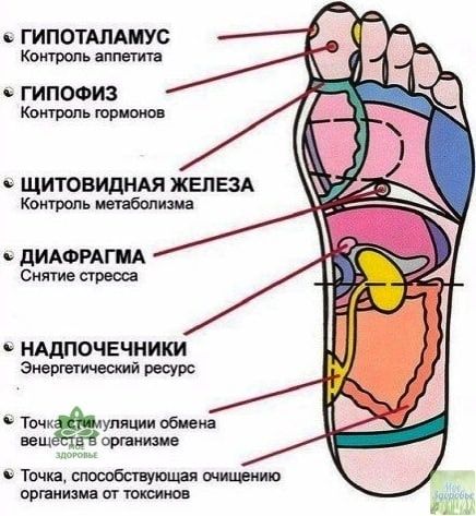 Массаж на дому.выезд