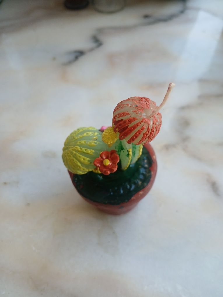 Velas em forma de cacto