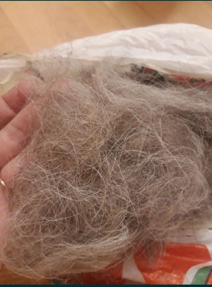Продаю Шерсть с алабая