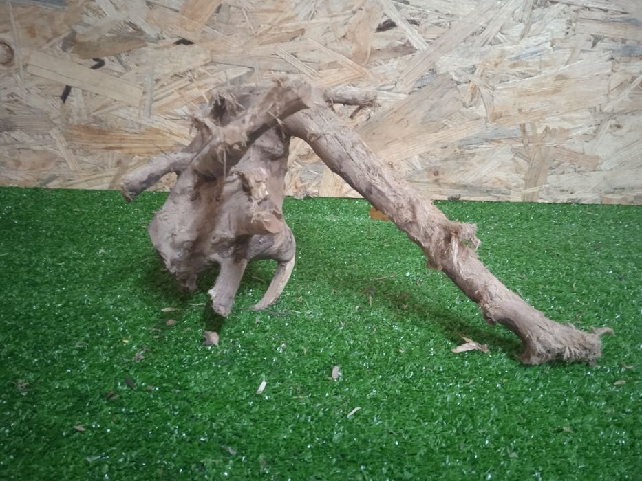 Korzeń do akwarium Red Moore Wood nr 714 o wymiarach 28/21/20