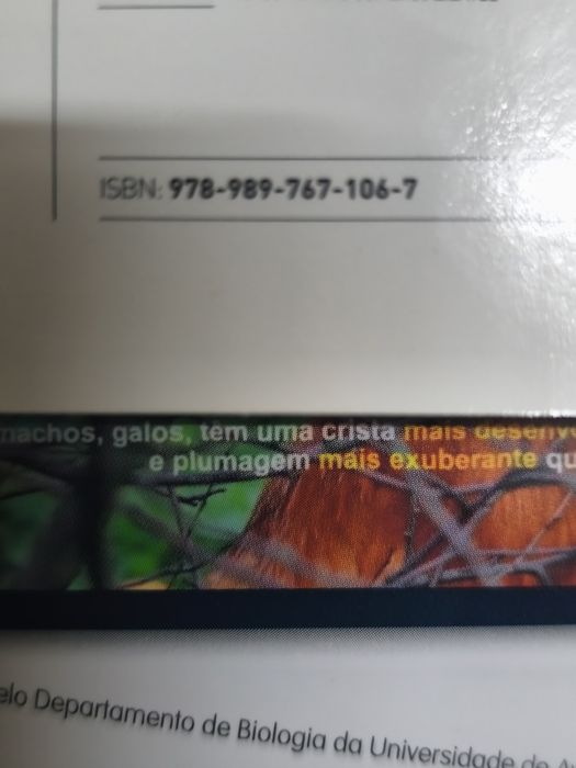 CSI 5 (manual, ca e dossier do professor) COM SOLUÇÕES