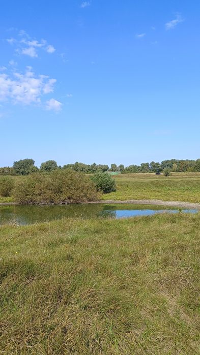 Продам ділянку в селі Літочки Броварського району Київської області