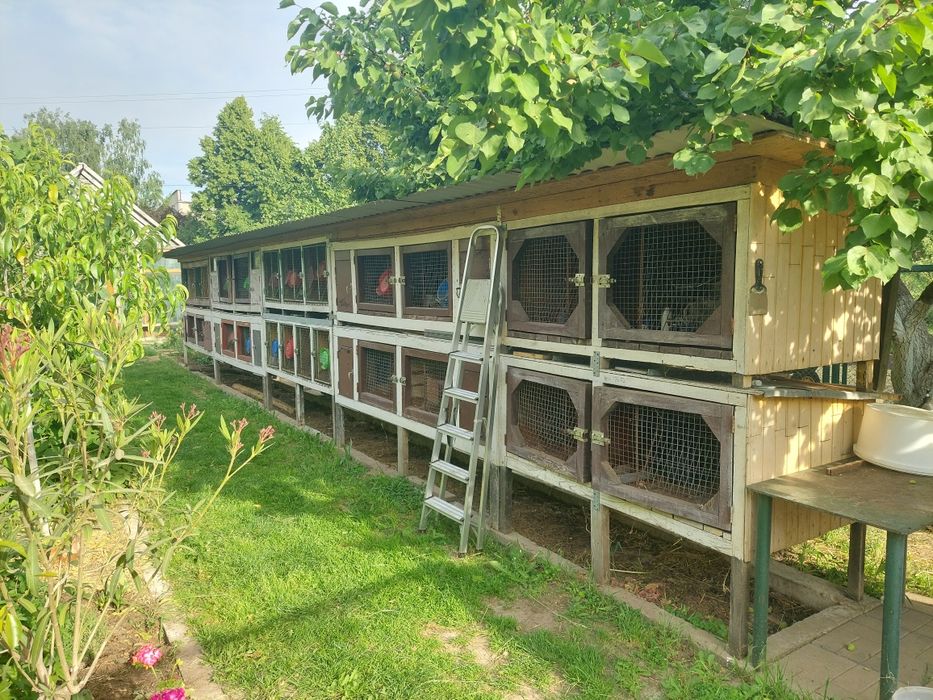 Продам гарні кролячі клітки б / у