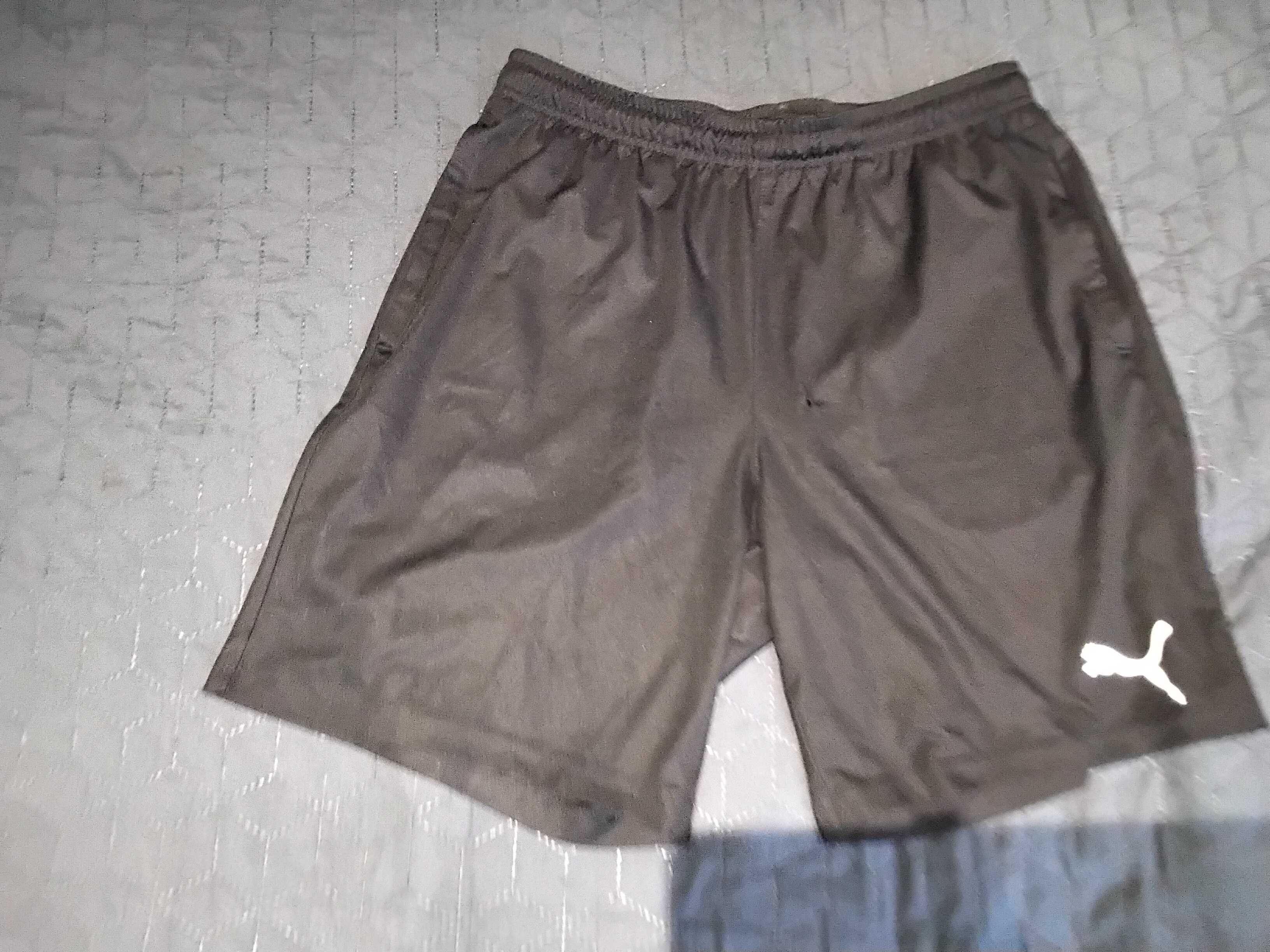 Spodenki Puma rozm. M