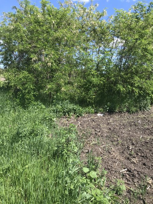 Продам приватизовану зімельну ділянку