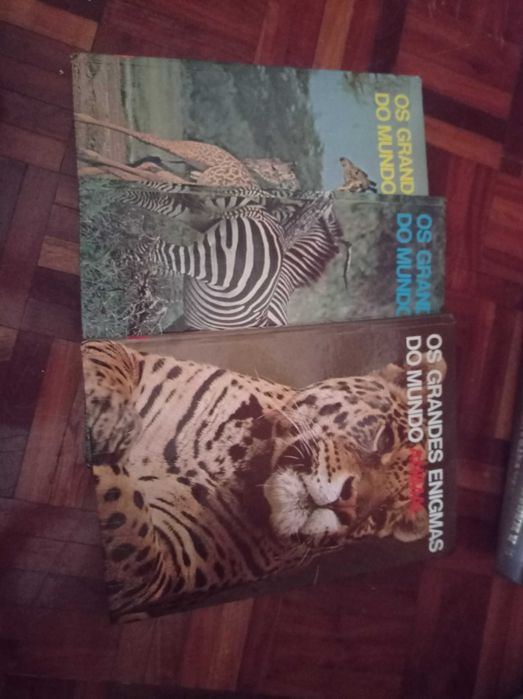Coleção livros grandes enigmas do mundo animal