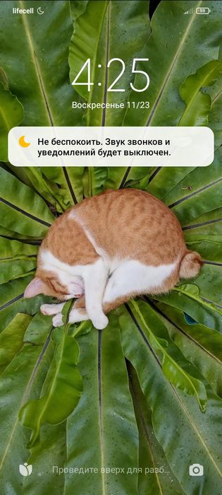 Помогу,подъеду,привезу