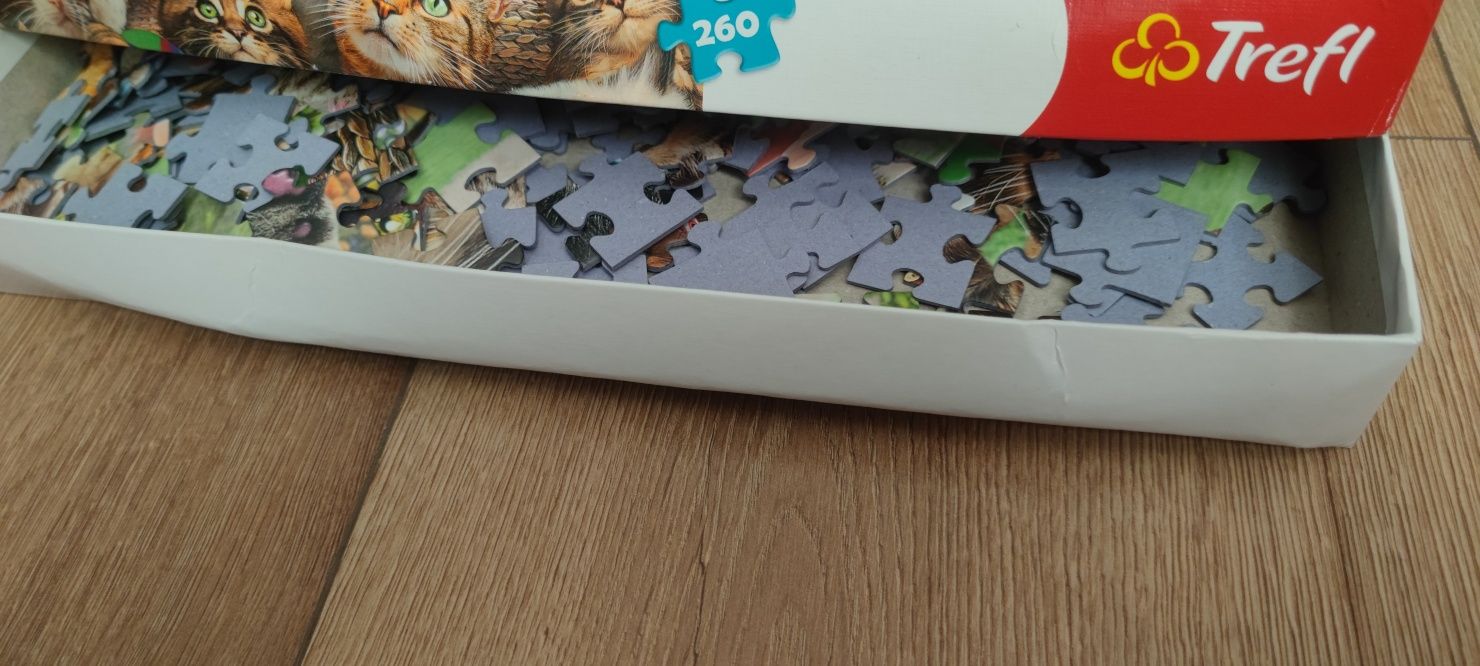 Puzzle 260 elementów kotki