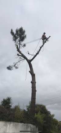 Abate e Poda de Árvores em Alturas