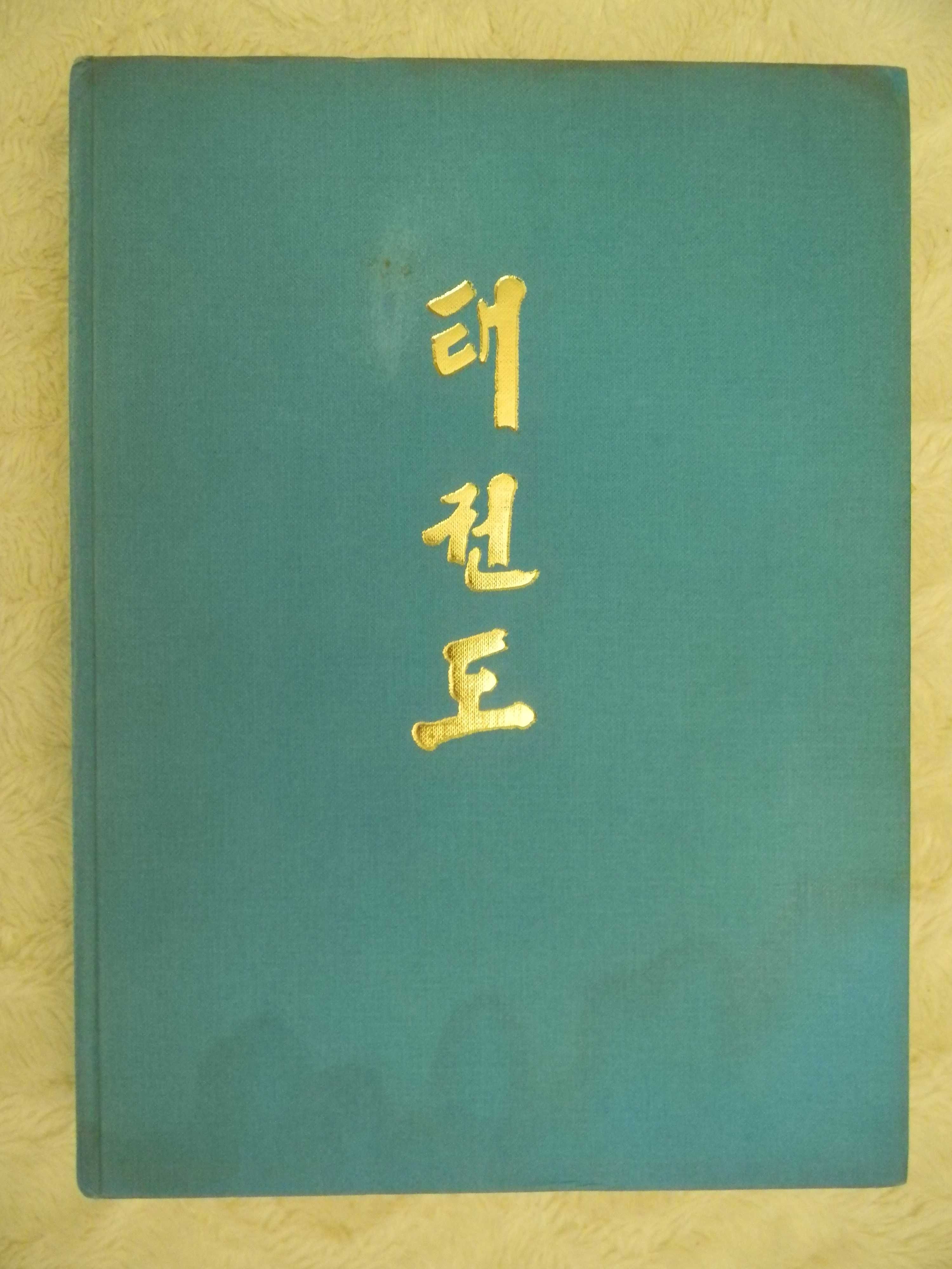 Taekwondo Choi Hong Hi