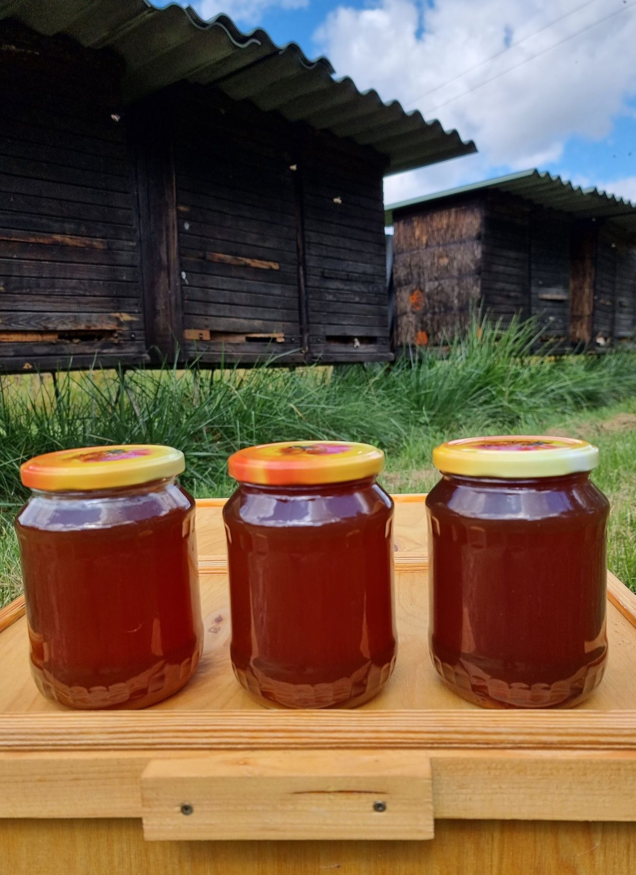 Miód Lipowy Pasieka Wronie Wysyłka Dowóz