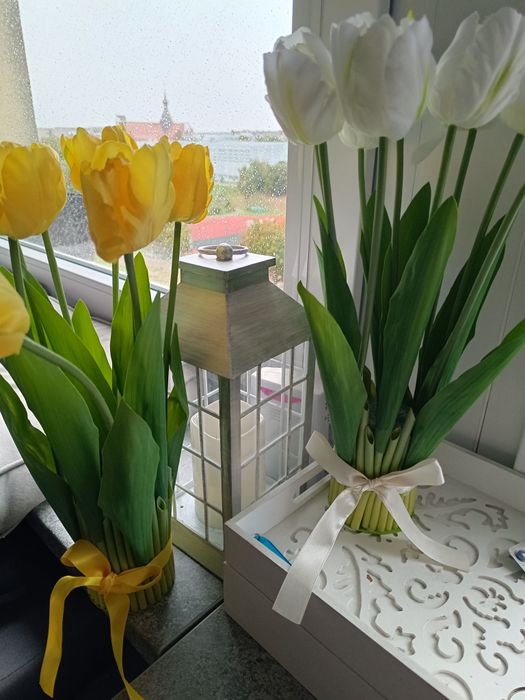 Kompozycja z tulipanów bislych