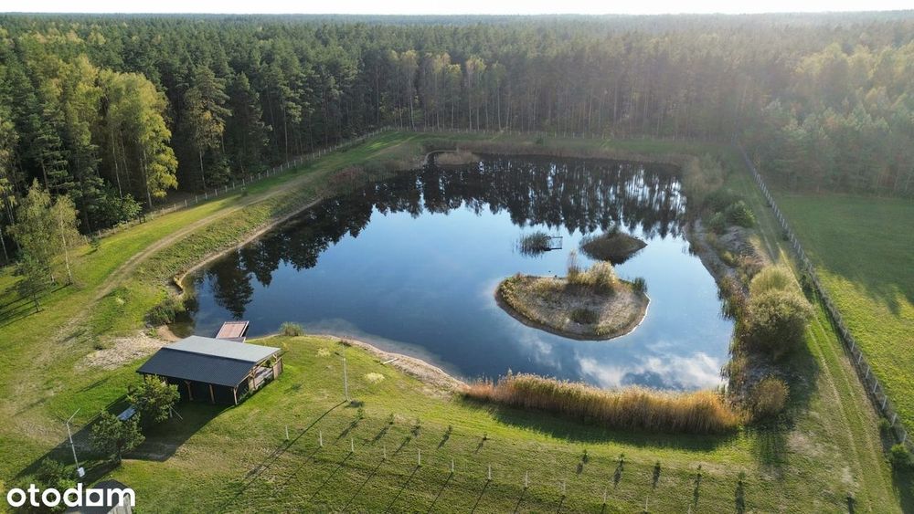 Łabędzi Zakątek – działka 3,12 ha ze stawem, mediami i szambem