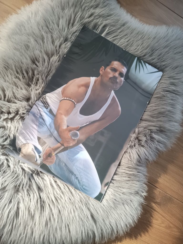 Obraz na płótnie plakat w antyramie Freddie Mercury Queen