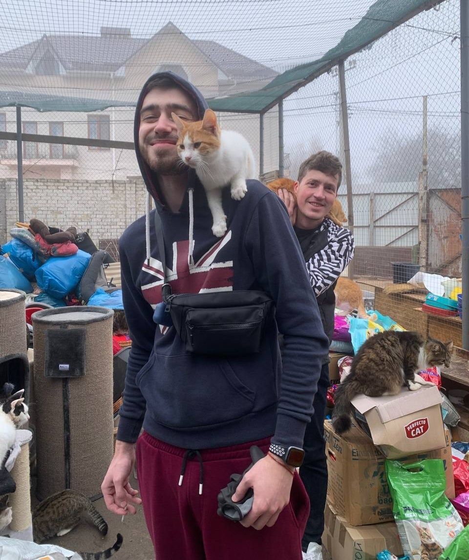Отдам даром в добрые руки котиков и кошечек