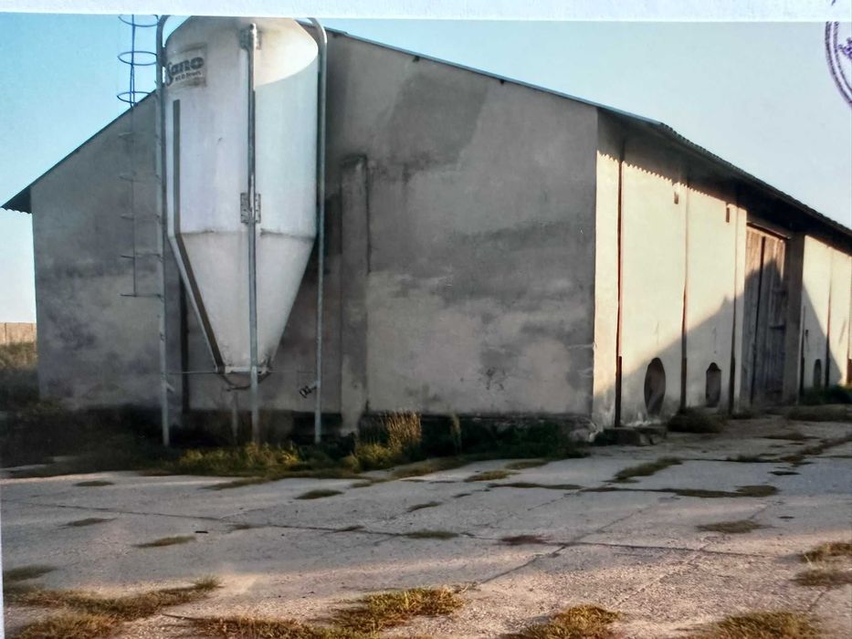 Sprzedam nieruchomość rolną, zabudowaną – Lubska, Gmina Wilków