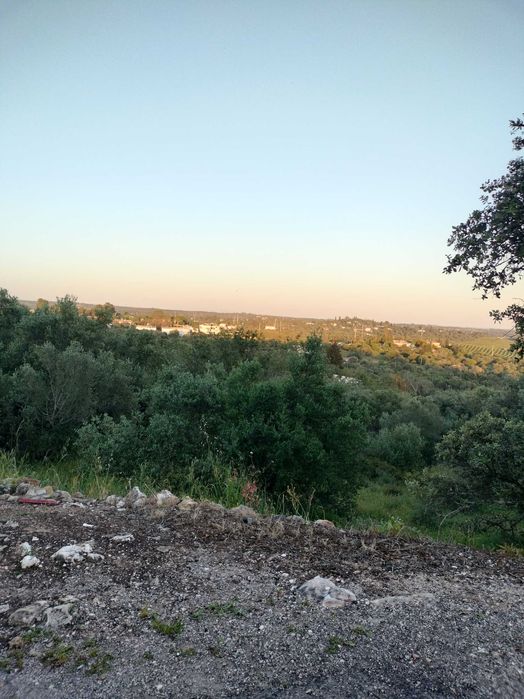 Quinta com Moradia no sitio do Poio - Mexilhoeira Grande