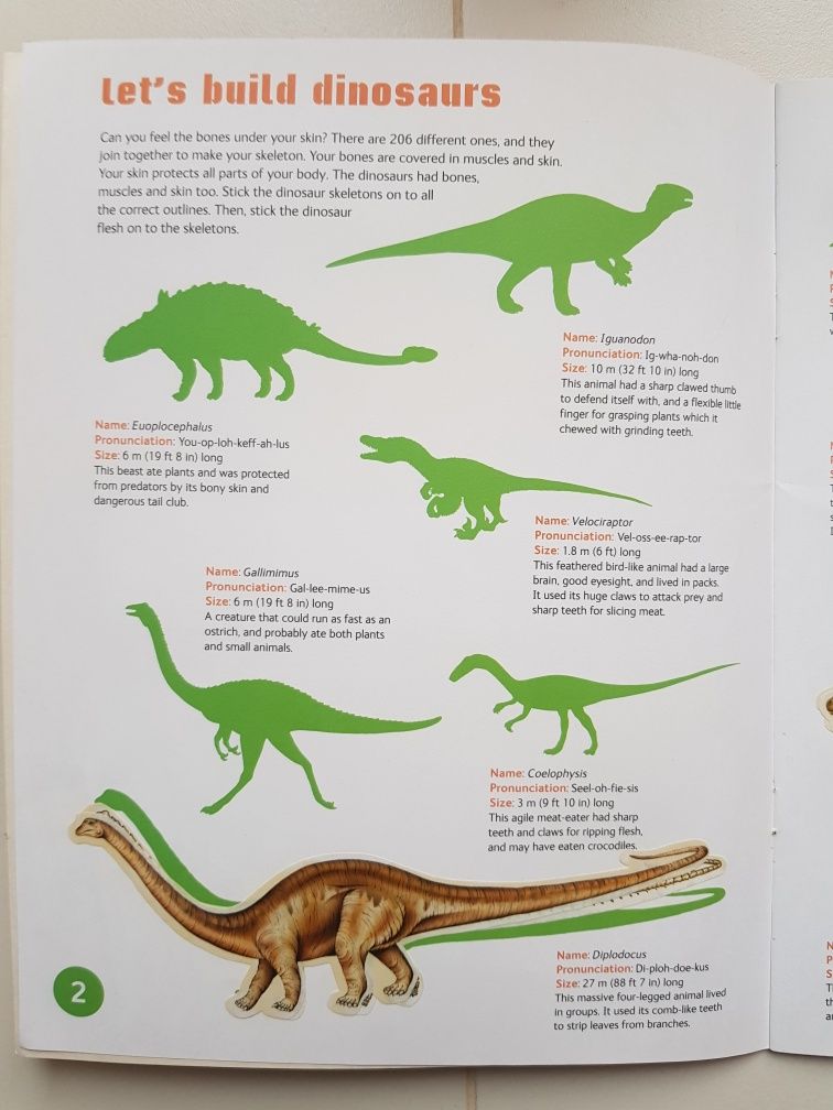 Dinosaur Sticker Book, Natural History Museum