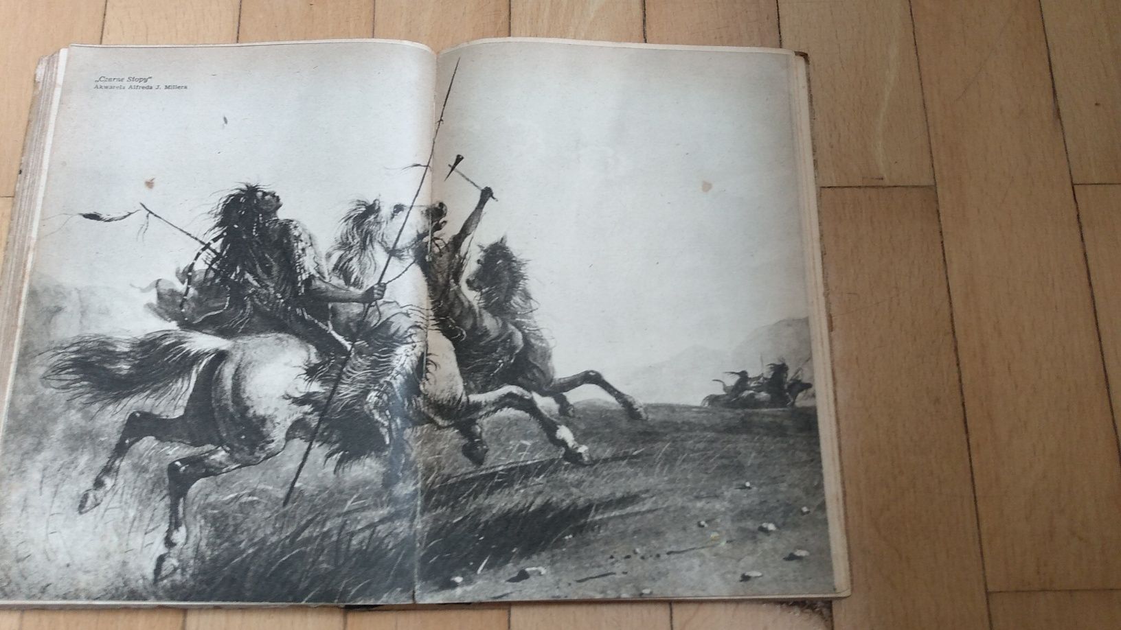 Mały Bizon Arkady Fiedler "Iskry" 1953