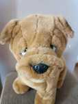 Peluche cão Shar-Pei